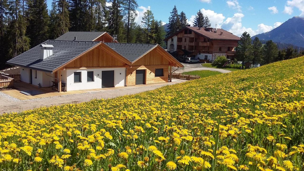 Chalet Soredl Antermoia Exteriér fotografie